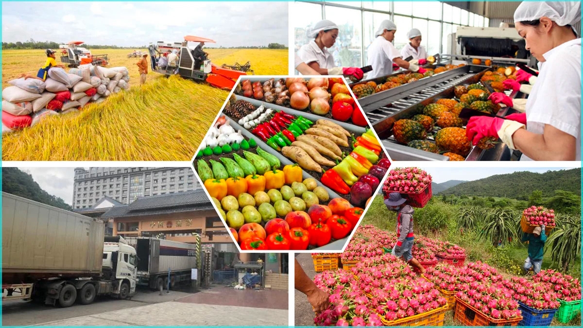 NÂNG TẦM NÔNG NGHIỆP VIỆT NAM THÔNG QUA LIÊN KẾT CÔNG NGHỆ, NÔNG DÂN, VÀ THỊ TRƯỜNG